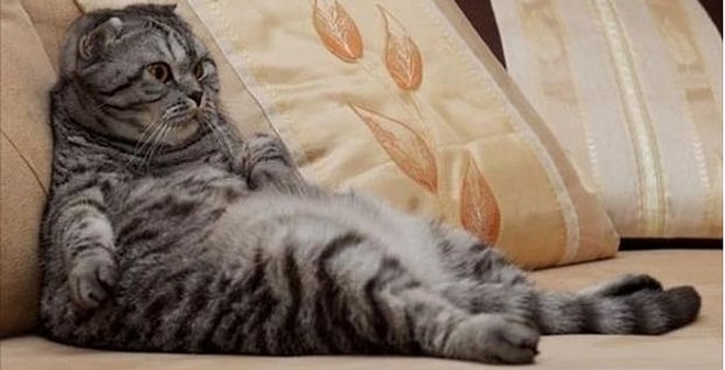 Японская практика "Кайдзен" как средство борьбы с ленью