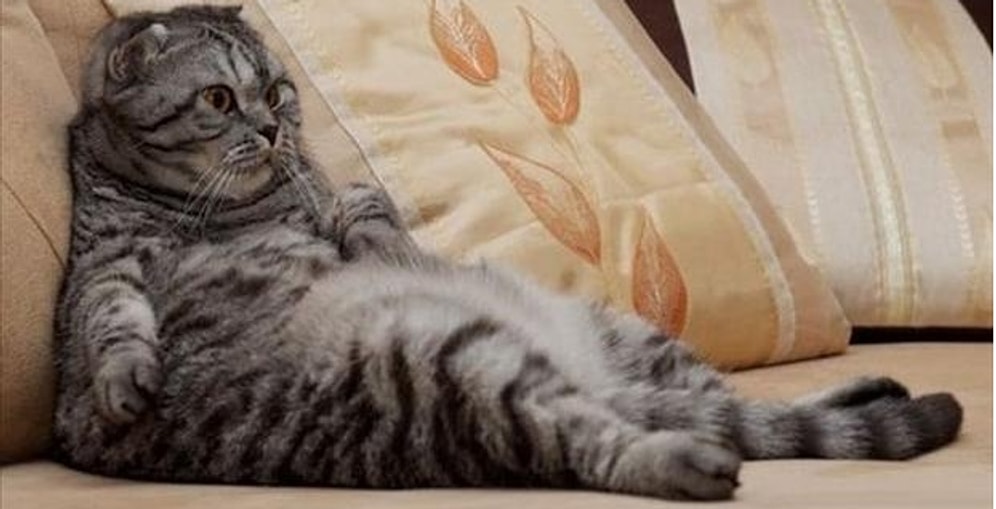 Японская практика "Кайдзен" как средство борьбы с ленью