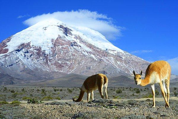 12. Dağ demişken, uzaya en yakın dağ Everest değil, Chimborazo dağı.