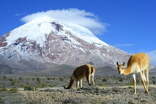 11. Hazır başlamışken, Everest Dağı uzaya en yakın dağ da değil. Ekvador'da bulunan Chimborazo uzaya en yakın dağ.