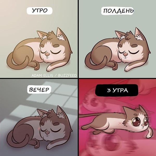 13. То неловкое чувство, когда ты кот