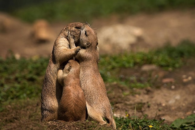 15. The perfect family portrait!