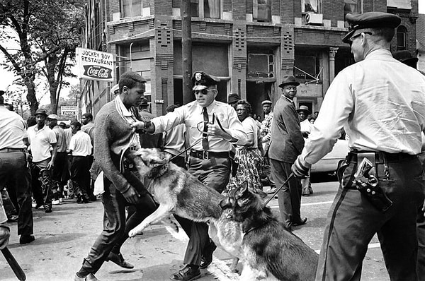 3. 17 yaşındaki siyahi gösterici, 1963 yılında bir protesto gösterisi sırasında polis köpeğinin saldırısına uğrarken...