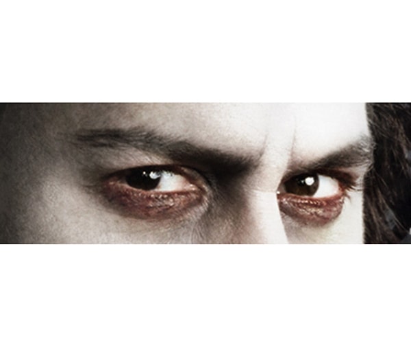 8. Кому принадлежит этот тяжелый взгляд?