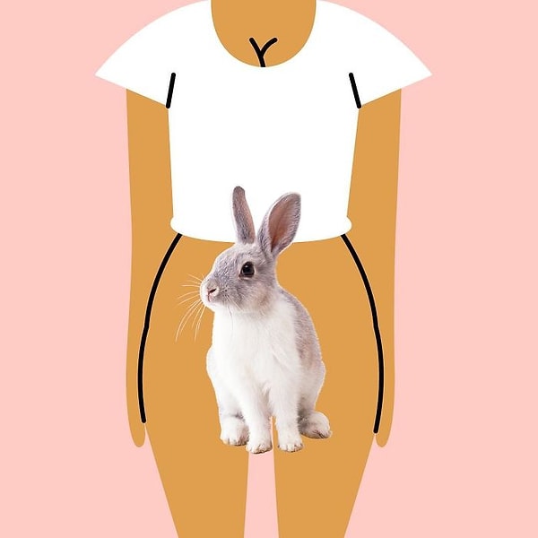 1. Испания — "Conejo" — Кролик