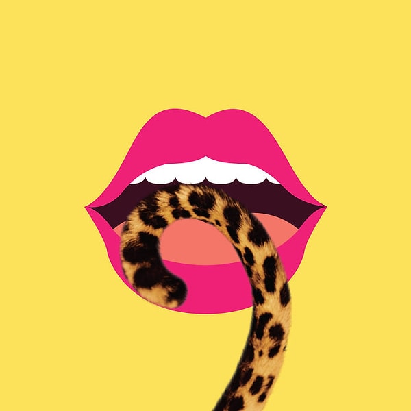 2. Германия — "Schwanz" — Хвост