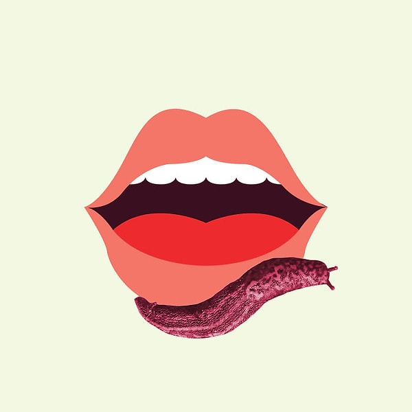 13. Швеция — "Schnäggli" — Улитка