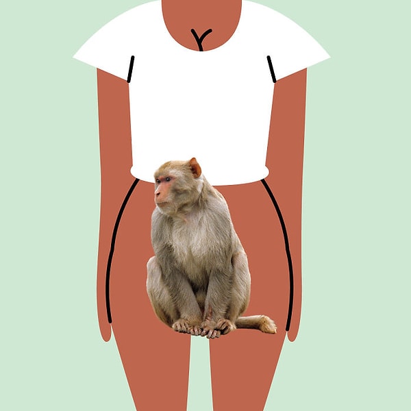 15. Мексика — "Chango" — Обезьяна