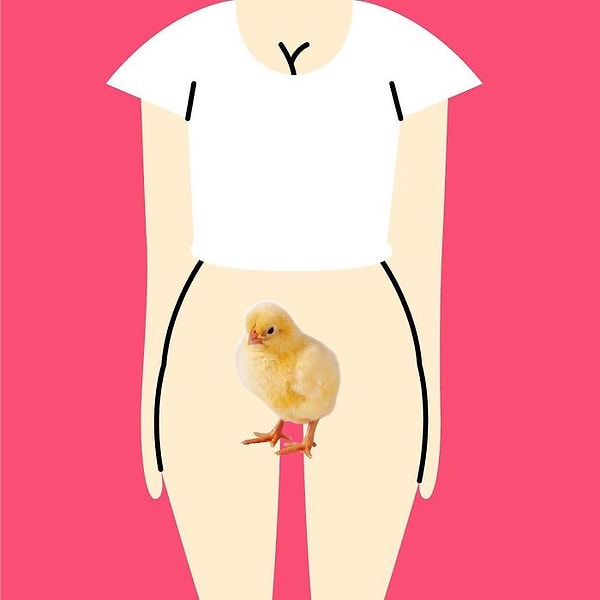 16. Польша — "Cipka" — Цыпленок