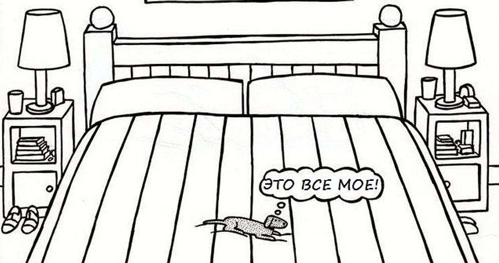 11 смешных иллюстраций, которые поймут только владельцы собак