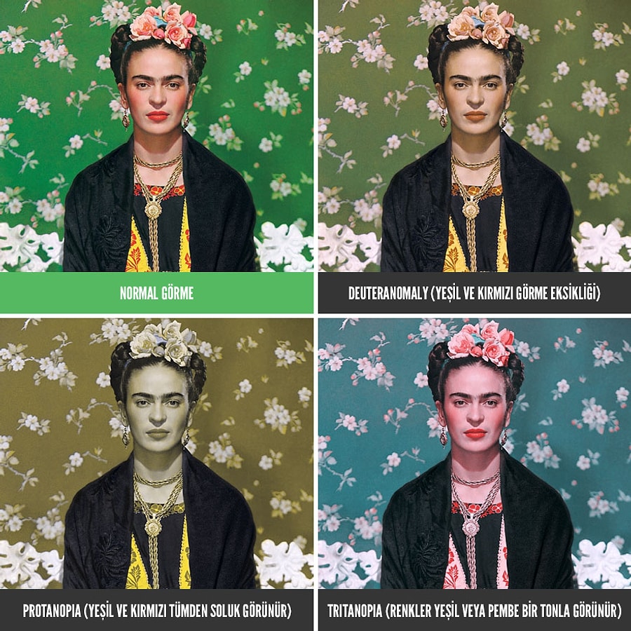 Как видят люди с минус 4. Как видят люди с дейтераномалией. Как видят мир умные люди. Как видит человек со зрением. Картины филиппа барлоу художника.