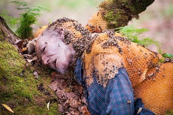 Arılar, tüm bu canlılardan daha çok insanın ölümüne sebep oluyor.