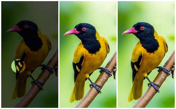 Показать правильный ответ