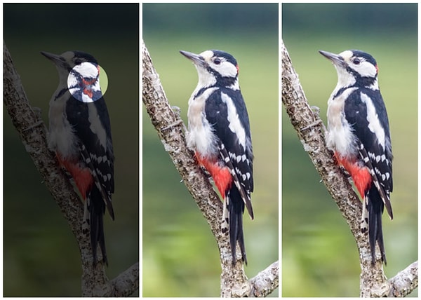 Показать правильный ответ