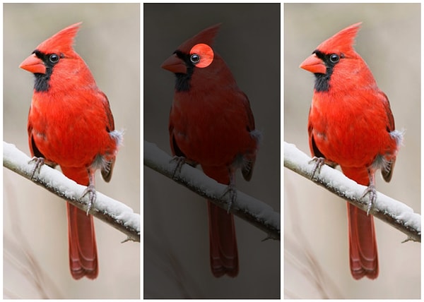 Показать правильный ответ