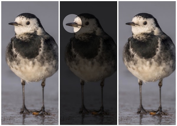 Показать правильный ответ