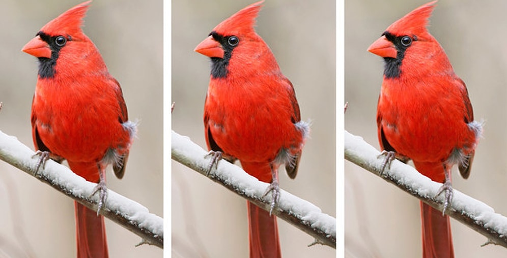 Только очень внимательный человек способен увидеть отличия на этих картинках (Часть-2)
