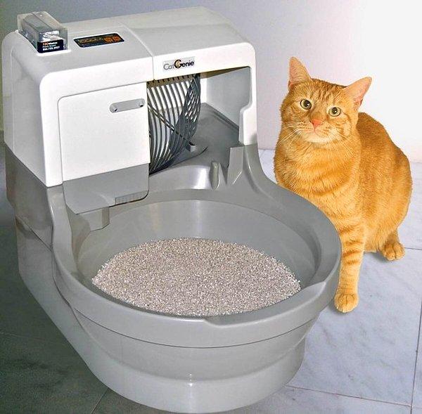 9. Kendi kendini temizleyen kedi tuvaleti. Bakınız sarman nasıl da sevmiş.