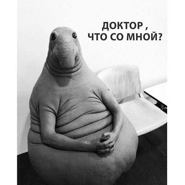 4. Ну, а потом, с легкой руки "пикабушников" Ждун разлетелся по всему Рунету.