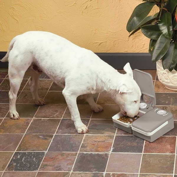 13. Автоматическая миска для собак