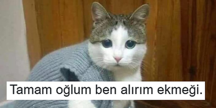 Her Ne Yapıyorsanız Bırakıp Okumaya Başlamanız Gereken Haftanın En Komik 20 Tweet'i