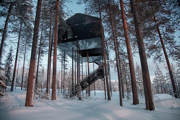 Kuzey İsveç'te konumlanan “Treehotel” (Ağaç Otel) yedi ağaç evden oluşan bir otel konsepti.