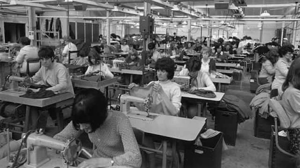 8. Июньская эпидемия насекомых