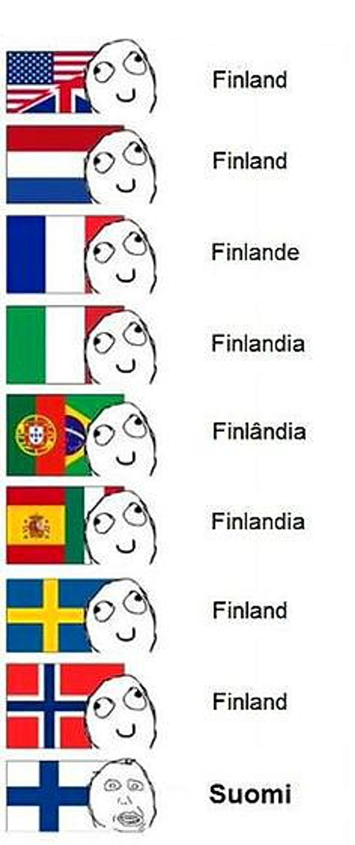 Язык мемов. Финский язык приколы. Шутки о финском языке. Мемы про финский язык. Смешной финский язык.