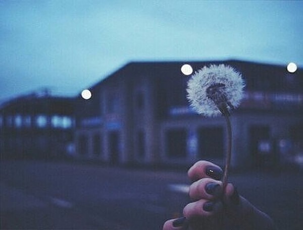 3. Людям никогда не понять чужой боли, пока эта боль не коснется их самих.