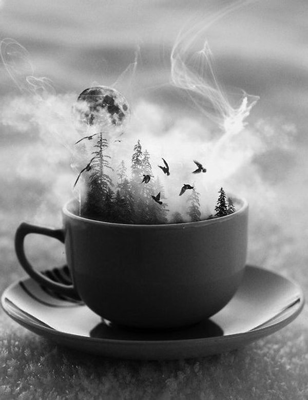 10. Основное правило жизни – не давать сломить себя ни людям, ни обстоятельствам.