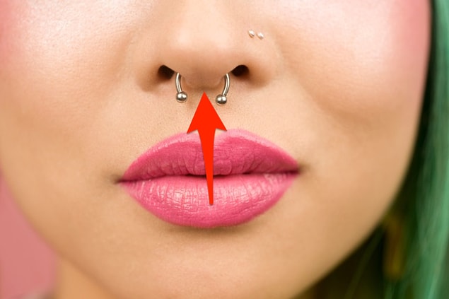 11. Columella nasi: the part of your nose between your nostrils.