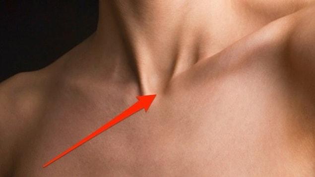 15. Suprasternal notch: the large, visible dip in between the neck and the collarbone.
