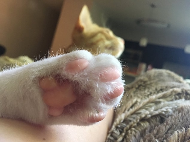 14.