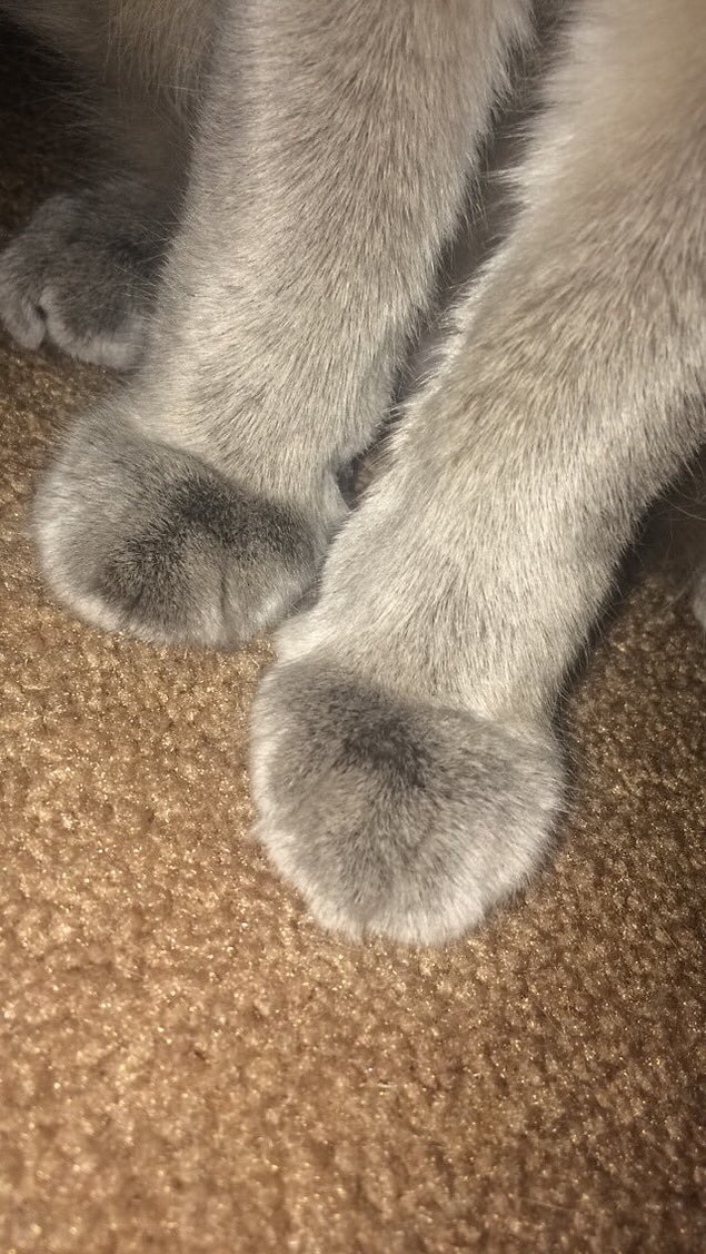 16.