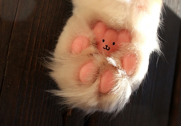 21. You know, cat’s paws are actually little teddy bears 🐻😄