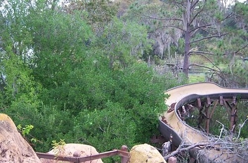 Disney World'de terk edilmiş bir su kaydırağı var ve söylentiye göre hala hoparlörlerde yüksek sesli müzik çalıyor.