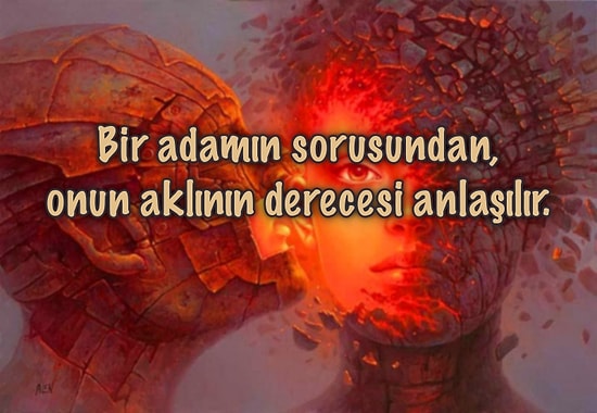 Akıl Hakkında Sadece 'Aklı Olanların' Anlayabileceği Derinlikte 17 Olağanüstü Aforizma