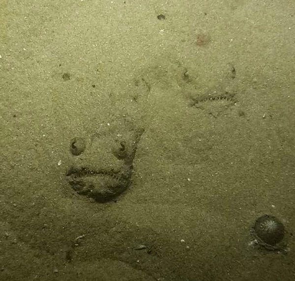 11. А если случайно наступишь?