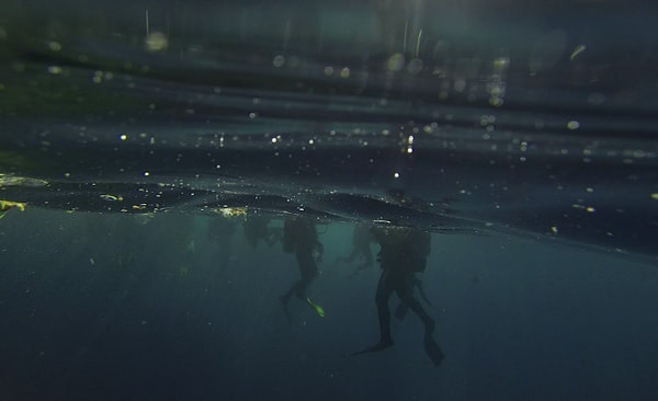 20. Ну что, осилили подборку?