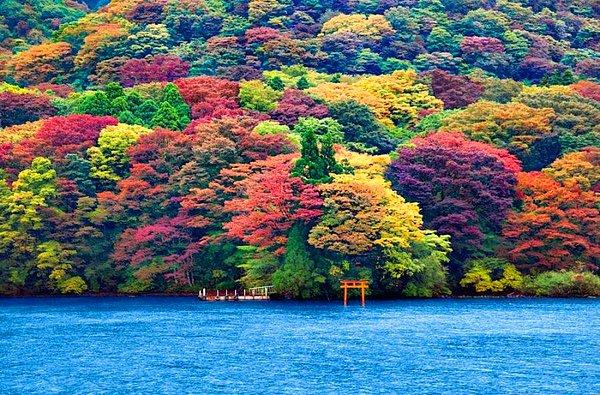 2. Ashi Gölü, Japonya