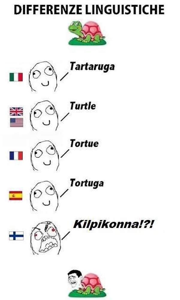 12. Черепахам не повезло.