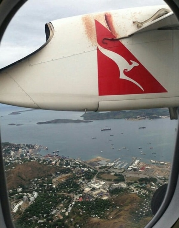 5. И даже в воздухе от них нет спасения!