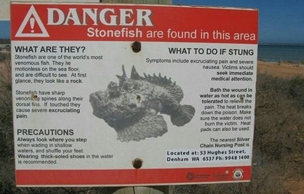 23. О чем предупреждает эта табличка? Да всего-навсего о рыбе-камень — самой ядовитой рыбе в мире