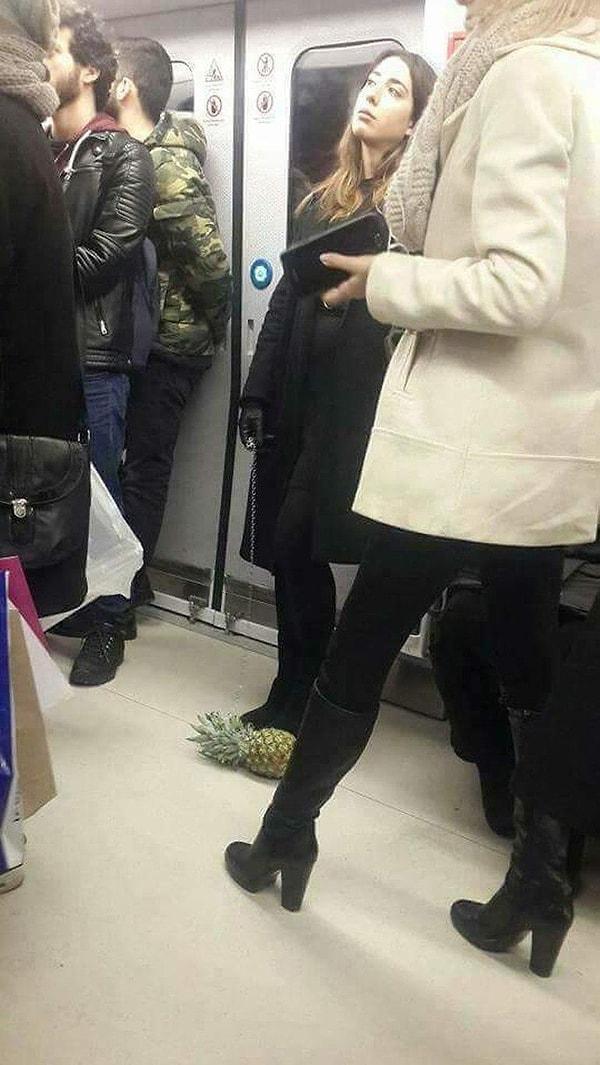 İsterseniz önce olayı bir hatırlayalım: Ankara Metrosu'nda Elif Usta isimli kadın, zincirle bağlanmış ananası evcil hayvan gibi gezdirdi.