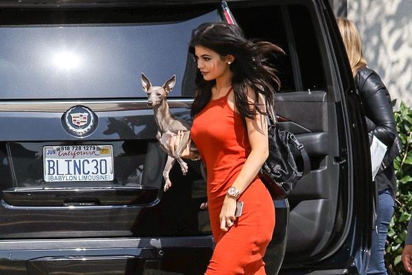 2. Kylie Jenner iki güzel köpecik sahibi... Fakat sahip olduğu italyan tazılarından biri, iddialara göre kemikleri sayılır bir halde güvenlik kameralarına yakalandı.