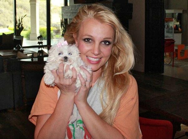 8. Britney Spears da köpek sevenlerden... Ama sorumsuz!