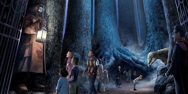 Potterhead'ler Müjde! Hogwarts'taki Yasak Orman'ı Görme ve Şahgaga İle Tanışma Fırsatı