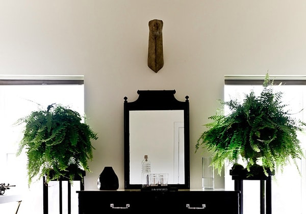 16. И напоследок! Неважно, какого размера ваша комната. С появлением комнатных растений ваша комната будет казаться уютной и оживленной.