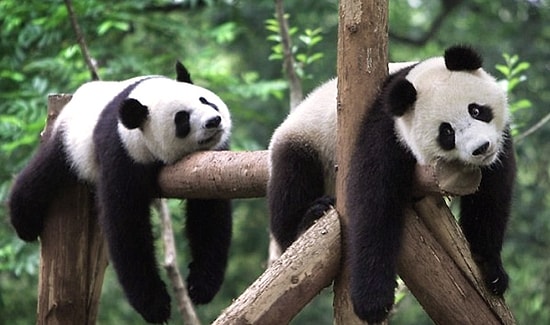 5 лучших контентов с onedio.ru за вторник!