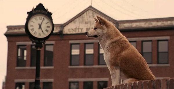 5. "У меня была только одна девушка"